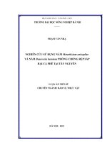 Nghiên cứu sửu ụng nấm metarhizium anisopliae và nấm beauveria bassiana phòng chống rệp sáp hại cà phê tại tây nguyên 