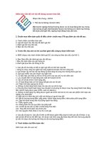 Tài liệu Kiểm toán viên đối với vấn đề Going concern theo ISA pdf