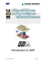 Introduction to SAP 