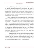 Hoàn thiện hạch toán kế toán nguyên vật liệu tại công ty TNHH trung hạnh 