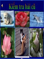 Gián án Xô Viết Nghệ - Tĩnh