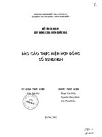 Báo cáo thực hiện hợp đồng số 05HĐHDH kiểm kê dữ liệu hải dương học 