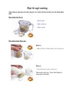 Tài liệu Hạt bí ngô nướng pptx