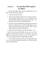 Tài liệu công nghệ chuyển mạch nhãn đa giao thức, chương 11 docx