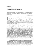 Chapter 6 reasons for incentives 