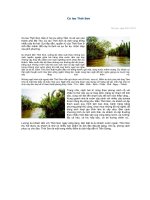 Bài soạn Cù Lao Thới Sơn