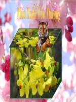 Bài soạn Xuân yêu thương