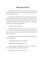 Tài liệu Giáo trình Mạch máu chi trên doc