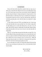 Những bất đồng trong thương mại giữa các nước phát triển và đang phát triển trong khuôn khổ WTO 