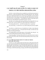 Tài liệu Các thiết bị lên men nuôi cấy chìm vi sinh vật_chương 10 doc