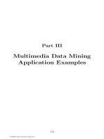 Tài liệu Multimedia_Data_Mining_06 pdf