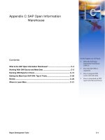 Tài liệu Appendix C: SAP Open Information Warehouse pptx