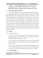 Tiểu luận tân hiệp phát với 7 tiêu chí của giải thưởng chất lượng việt nam 