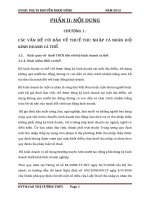 PHÂN TÍCH tác ĐỘNG THUẾ THU NHẬP cá NHÂN đối với THU NHẬP hộ KINH DOANH cá THỂ 