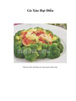 Tài liệu Gà Xào Hạt Điều pdf