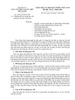 Tài liệu BỘ NỘI VỤ CỤC VĂN THƯ VÀ LƯU TRỮ NHÀ NƯỚC pdf