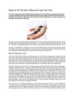 Tài liệu Mạng xã hội Việt Nam: Miếng bánh ngon khó nhằn pdf