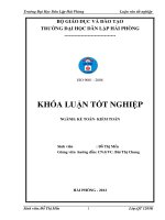 Hoàn thiện công tác kế toán nguyên vật liệu tại công ty cổ phần hưng phát việt nam 