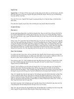 Tài liệu Nguyễn Nộn ppt