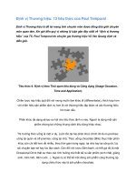 Tài liệu Định vị Thương hiệu: 13 tiêu thức của Paul Temporal -phần2 doc