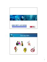 Tài liệu Chuyên đề quản lý định mức lao động docx