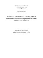Nghiên cứu ảnh hưởng của các loại thức ăn đến sinh trưởng cá ghé (bagarius rutilus ng&kottelat, 200) giai đoạn cá giống luận văn tốt nghiệp đại học 