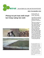 Tài liệu Phòng trừ phi hoá chất chuột hại trong ruộng lúa nước pptx