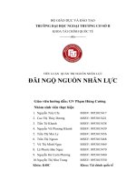 TIỂU LUẬN QUẢN TRỊ NGUỒN NHÂN lực đãi NGỘ NGUỒN NHÂN lực 