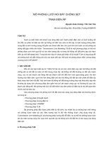 Tài liệu MÔ PHỎNG LƯỚI NỐI ĐẤT CHỐNG SÉT TRẠM BIẾN ÁP doc