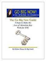 Tài liệu The Go Big Now Guide - 5 Steps to Make the Law of Attraction Key Work for You docx