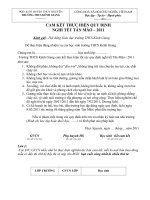 Bài soạn MAU CAM KET HS TET TAN MAO