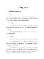 Tài liệu Trồng cải củ pdf