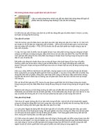 Tài liệu Giá chứng khoán được quyết định bởi yếu tố nào? pptx