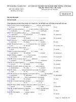 Tài liệu Đề thi chính thức kỳ thi tốt nghiệp THPT 2010 môn tiếng Nga - Hệ 3 năm (Mã đề thi 159) doc