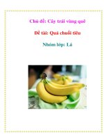 Tài liệu Chủ đề: Cây trái vùng quê - Đề tài: Quả chuối tiêu - Nhóm lớp: Lá doc