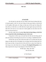 Nghiên cứu ô tô hybrid (phần ắc quy và động cơ điện) 