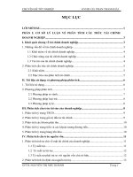 Phân tích cấu trúc tài chính tại chi nhánh công ty cổ phần icovina 