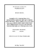 Nghiên cứu ảnh hưởng của dinh dưỡng khoáng đến quá trình sinh trưởng, phát triển của cây ngô (zea mays) trong điều kiện sinh thái đất nhiễm mặn tại xã cẩm thanh, thành phố hội an 