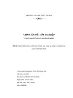 281 hoàn thiện công tác kế toán chi phí bán hang tại công ty cổ phần sản xuất và TM sức việt 