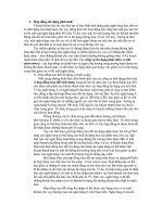 Tài liệu Hợp đồng tín dụng phái sinh pdf