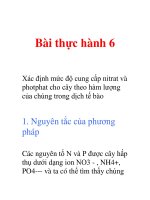 Tài liệu Bài thực hành 6 doc