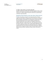 Tài liệu Nothing But Net 2009 Internet Investment Guide 13 pdf