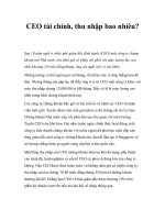 Tài liệu CEO tài chính, thu nhập bao nhiêu? ppt