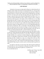 Nghiên cứu triển khai thí điểm mô hình xử lý rác thải hữu cơ tại bãi rác khánh sơn bằng công nghệ hầm biogas và sử dụng động cơ biogas để sản 