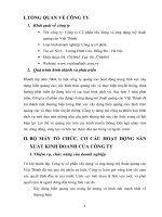 THỰC TRẠNG HOẠT ĐỘNG,SẢN XUẤT KINH DOANH của CÔNG TY (HOẠT ĐỘNG MARKETING, TRUYỀN THÔNG