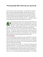 Tài liệu Phương pháp điều chỉnh độ cao cây đu đủ doc