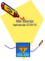 Gián án Bai 23- T12: Sắt-Gang- Thép