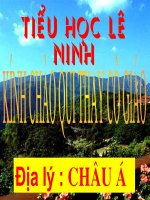 Bài soạn CHAU A