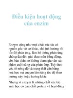 Tài liệu Điều kiện hoạt động của enzim docx