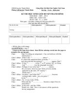 Bài soạn DE THI HSG T.A HUYEN THANH BINH (09-10)